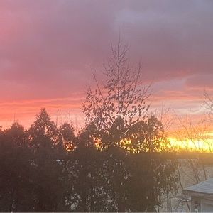 Meet your Posher, Ella